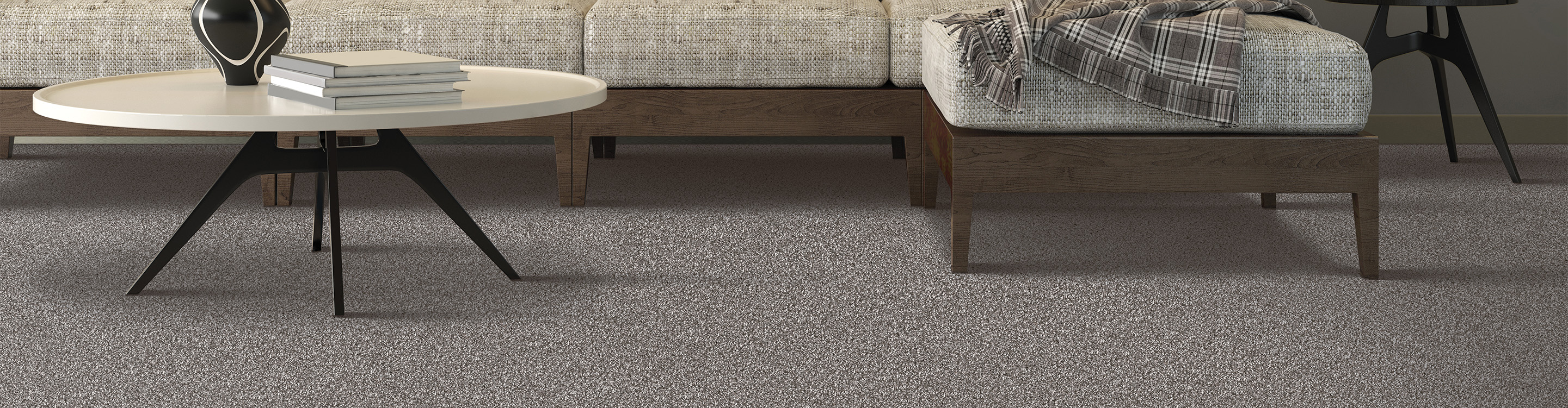 living room with Mohawk carpet