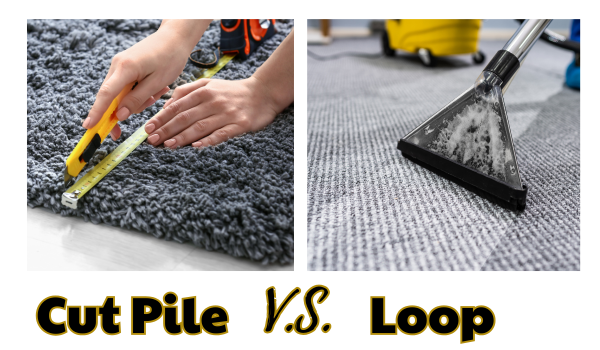 Cut pile carpet compared with looped Berber carpet